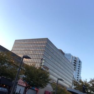 Meet your Posher, Katherine